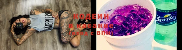 твердый Верхний Тагил