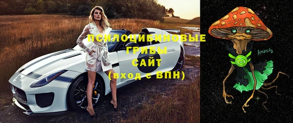 твердый Верхний Тагил