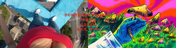 твердый Верхний Тагил